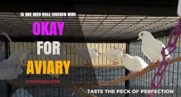 Chicken Wire for Aviaries: Is One Inch Hole Safe?