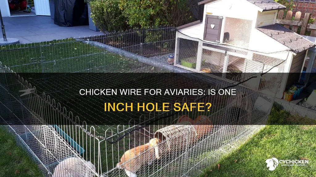 is one inch hole chicken wire okay for aviary