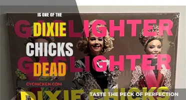 Are the Dixie Chicks Still Alive? Separating Fact from Fiction