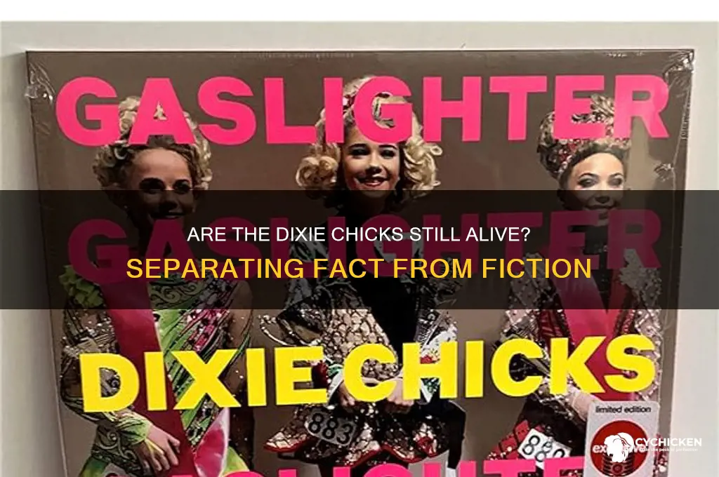 is one of the dixie chicks dead