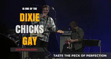 Dixie Chicks Sexuality: Unraveling the Truth About Their Personal Lives