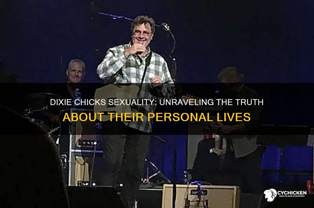 is one of the dixie chicks gay