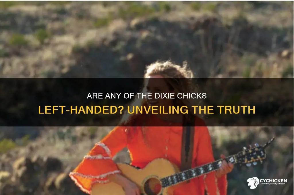 is one of the dixie chicks left handed