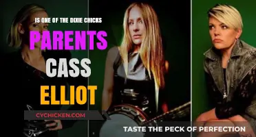 Dixie Chicks and Mama Cass: A Musical Connection?