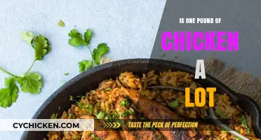 Is One Pound of Chicken Enough for Your Meal Planning?