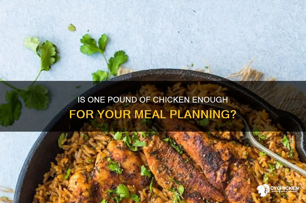 is one pound of chicken a lot