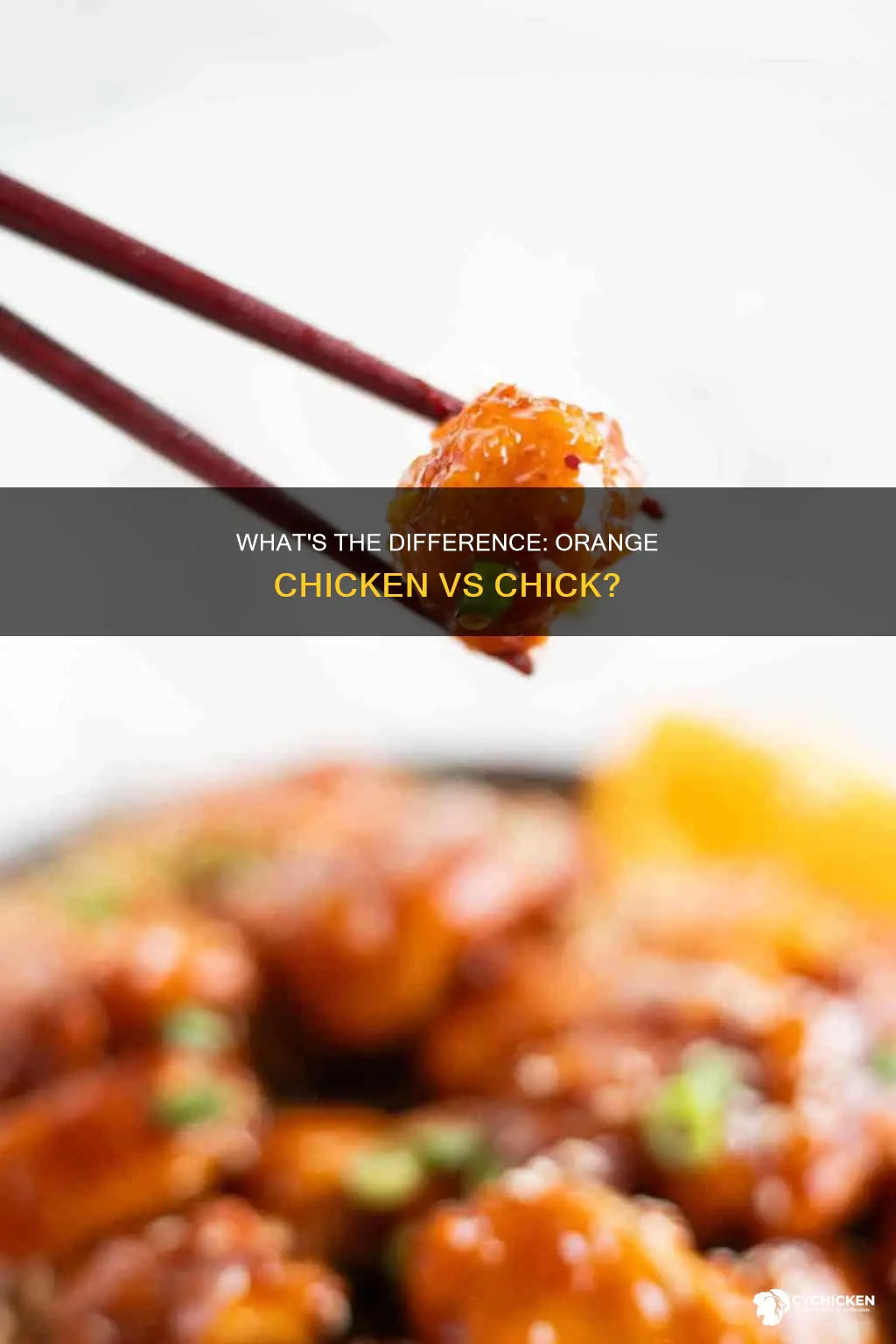 is orange chick the same as orange flavored chicken