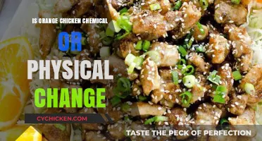 Is Orange Chicken a Chemical or Physical Change? Unveiling the Culinary Science
