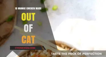 Is Orange Chicken Made from Cats? Debunking the Myth