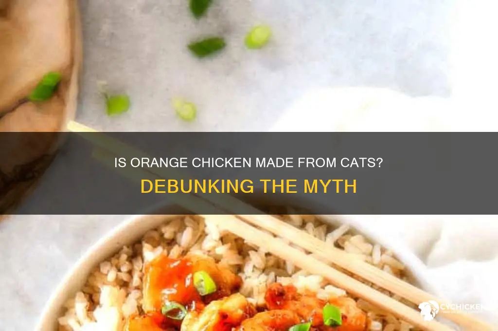 is orange chicken made out of cat