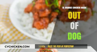 Is Orange Chicken Made from Dog? Debunking the Myth