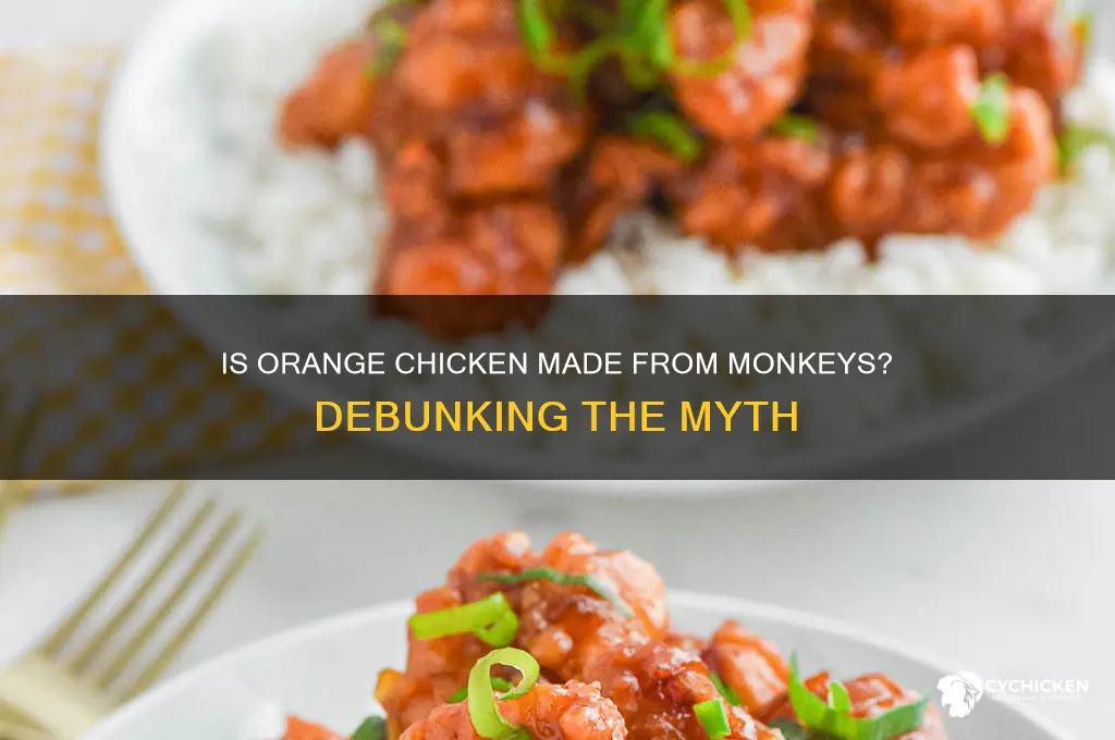 is orange chicken made out of monkey