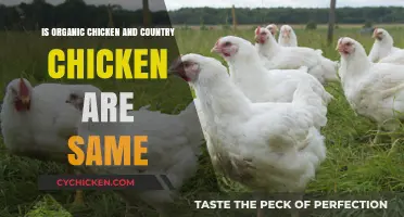 Organic Chicken vs. Country Chicken: Are They the Same?