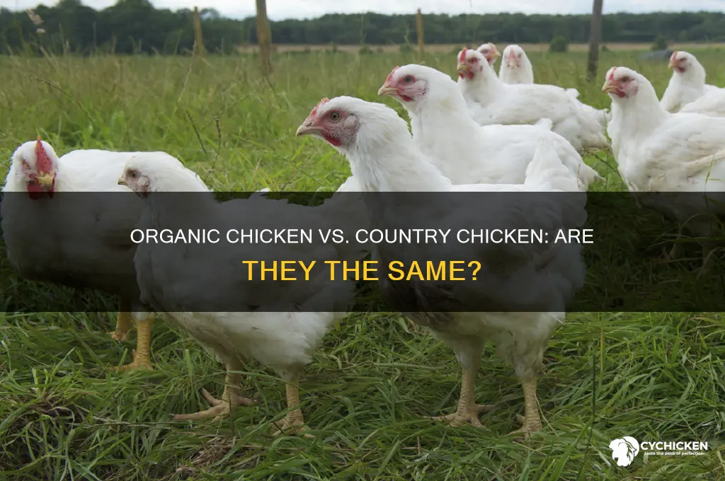 is organic chicken and country chicken are same