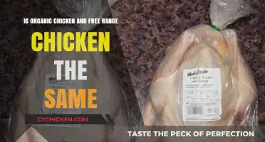 Organic vs Free Range: What's the Difference?