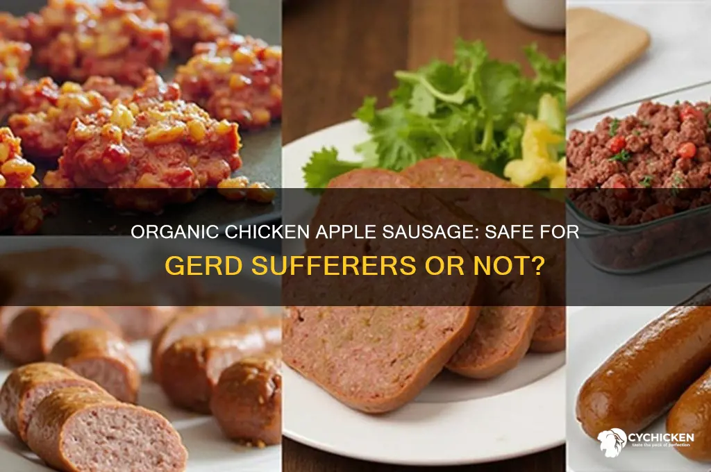 is organic chicken apple sausage ok for gerd