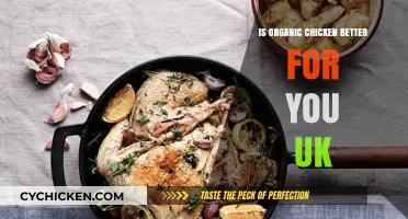 Is Organic Chicken Healthier in the UK? A Nutritional Breakdown