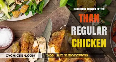 Organic vs. Regular Chicken: Which is Healthier and More Sustainable?