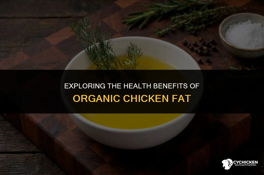 is organic chicken fat healthy