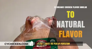 Organic vs. Natural: Comparing Chicken Flavor Profiles and Similarities