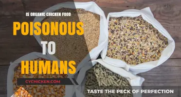 Organic Chicken Feed: Is It Safe for Human Consumption?