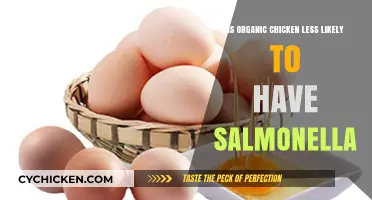 Organic Chicken and Salmonella Risk: What's the Real Connection?
