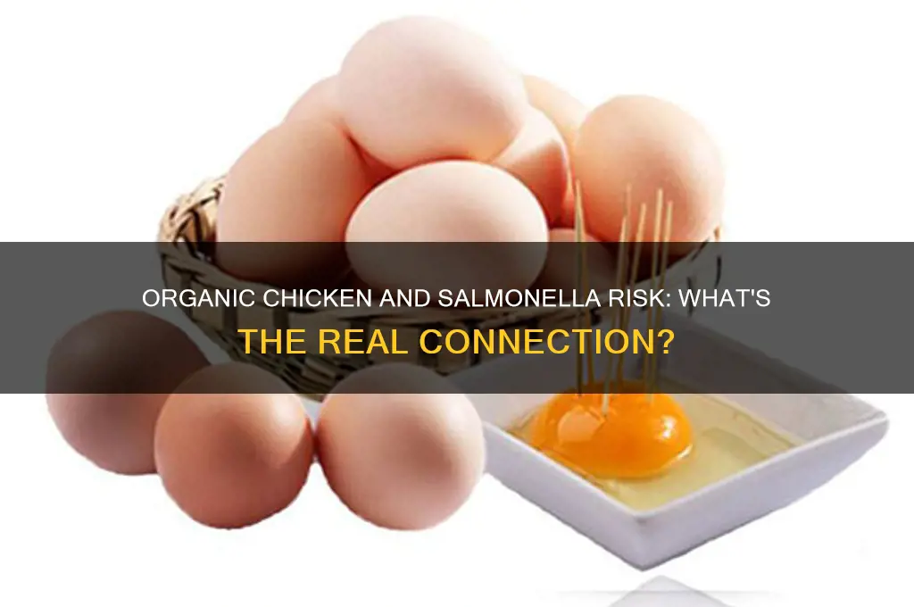is organic chicken less likely to have salmonella