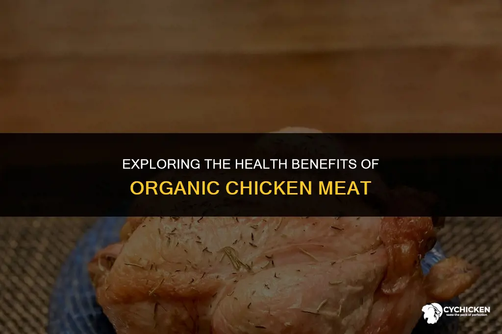 is organic chicken meat healthy