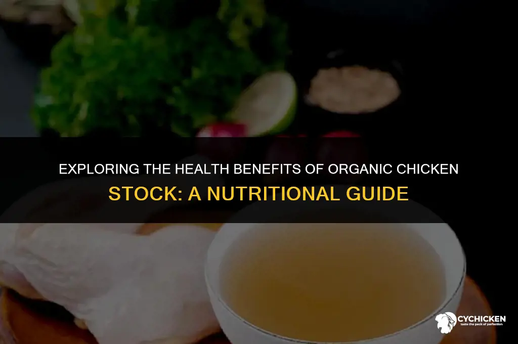 is organic chicken stock healthy