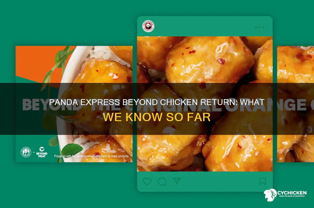 is panda express bringing back beyond chicken