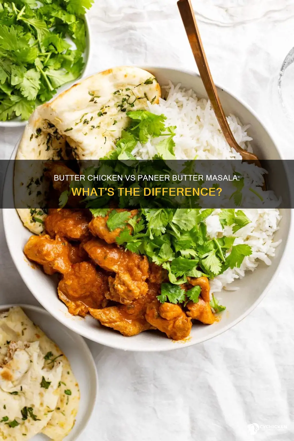is paneer butter masala the same as butter chicken