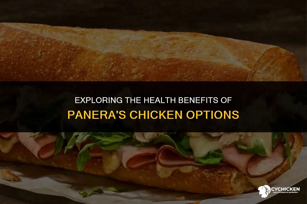 is panera chicken healthy