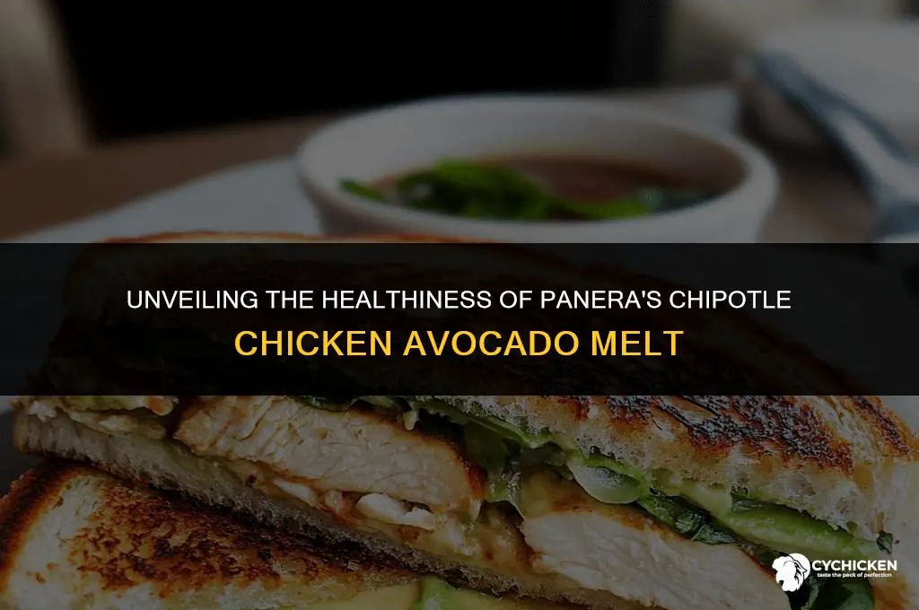 is panera chipotle chicken avocado melt healthy