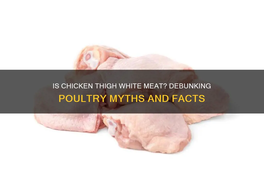 is part of a chicken thigh white meat