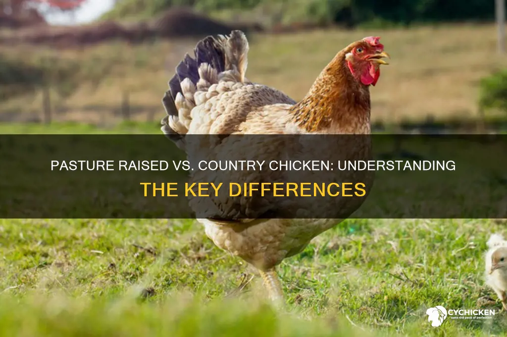 is pasture raised and country chicken same