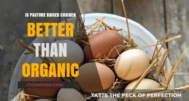 Pasture-Raised vs. Organic Chicken: Which is Healthier and More Ethical?