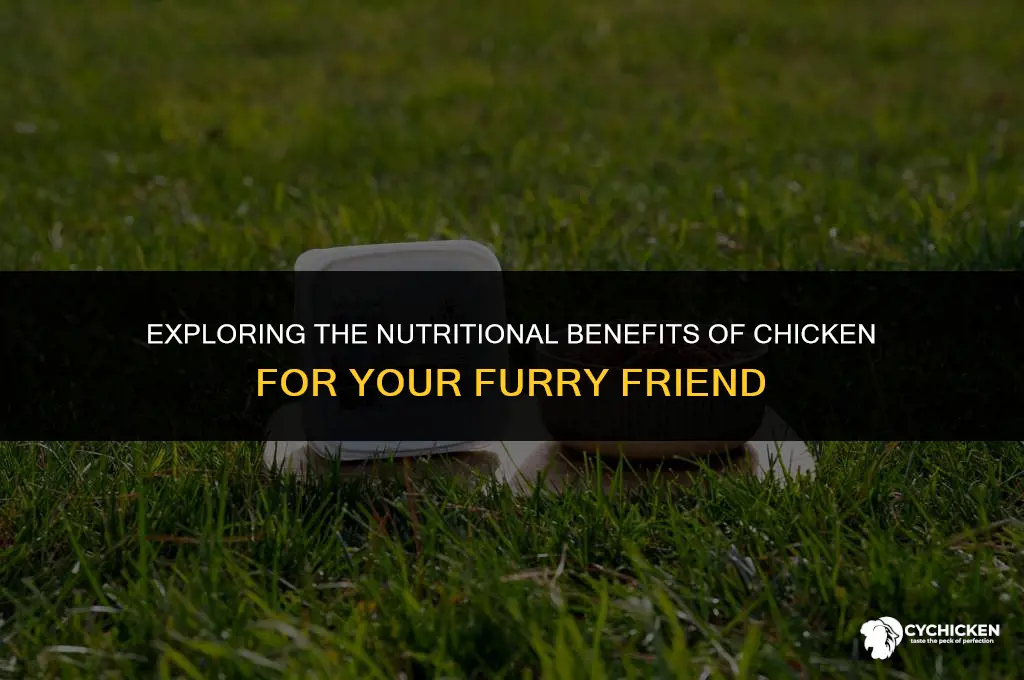is paw lickin chicken healthy