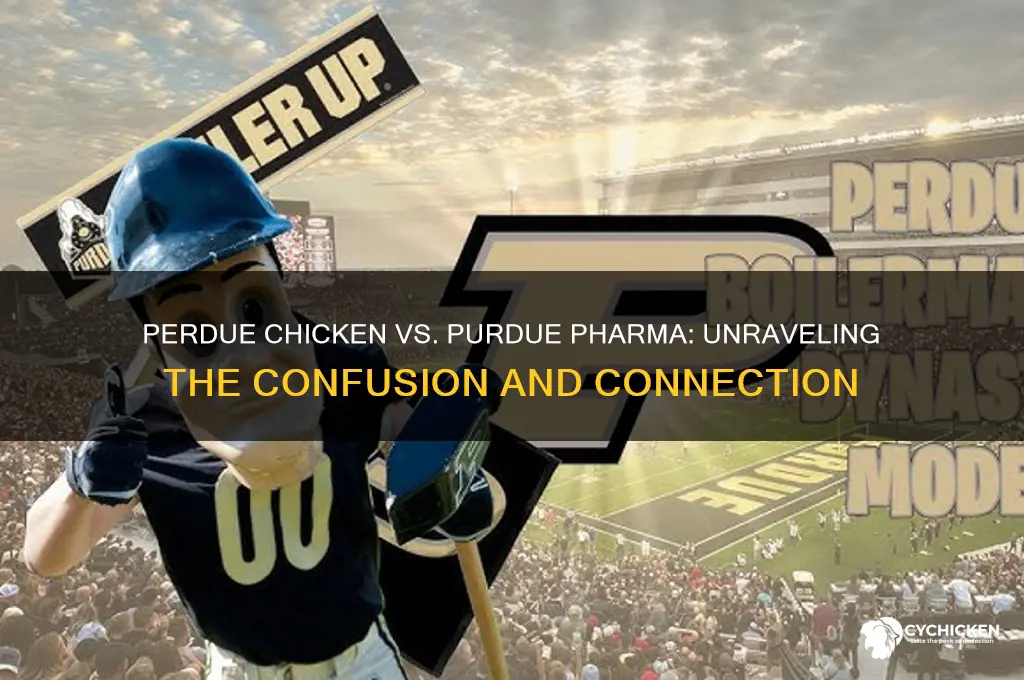 is perdue chicken and purdue pharma related