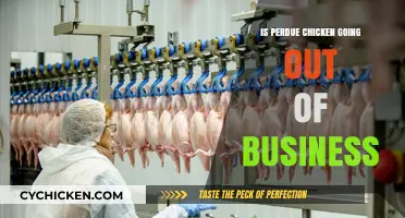 Is Perdue Chicken Facing Closure? Analyzing the Business Outlook