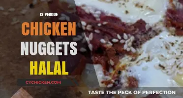 Are Perdue Chicken Nuggets Halal? A Detailed Certification Review