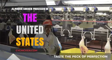 Is Perdue Chicken Processed in the United States? Facts Revealed