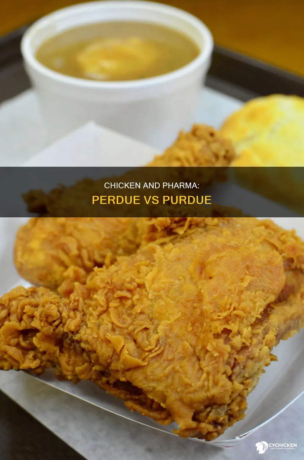 is perdue chicken the same company as purdue pharma