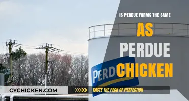Perdue Farms vs. Perdue Chicken: Understanding the Brand Connection