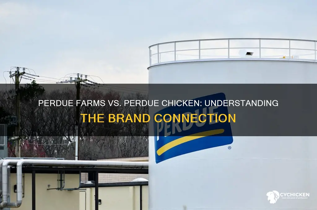 is perdue farms the same as perdue chicken