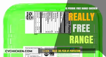 Is Perdue Free Range Chicken Truly Free Range? Uncovering the Truth
