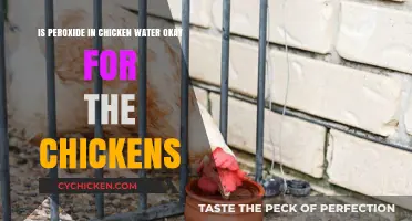 Peroxide in Chicken Water: Safe or Not?