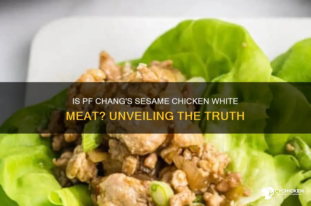 is pf chang