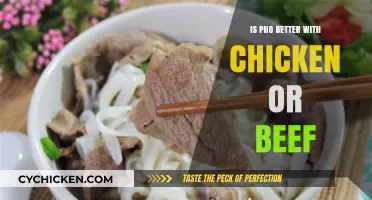 Chicken vs. Beef: Which Protein Elevates Your Pho Experience?