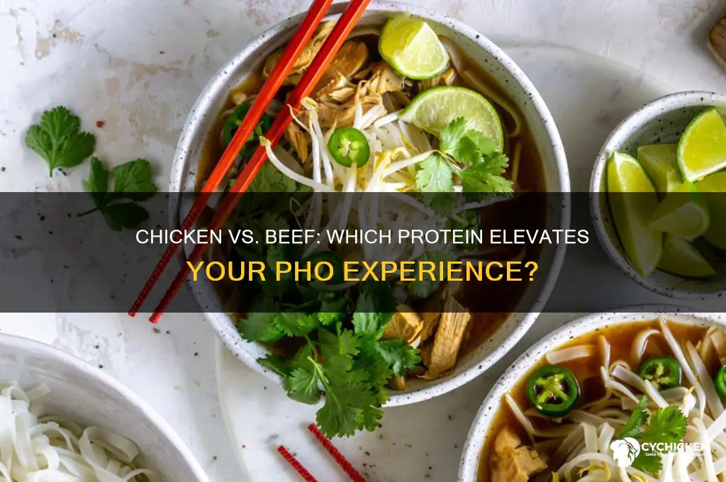 is pho better with chicken or beef
