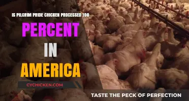 Pilgrim Pride Chicken: 100% American-Processed?